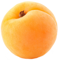 Round Apricot