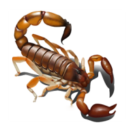 Scorpion PNG Free Download 11