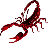 Scorpion PNG Free Download 16