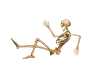 Skeleton PNG Free Download 31