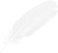 Sketched HD feather png image