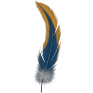 Snake like Feather Png Image