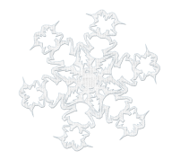 Snow Flakes PNG Free Download 10