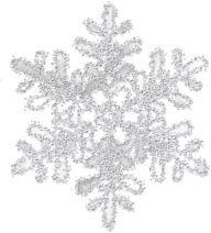 Snow Flakes PNG Free Download 27