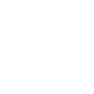 Snow Flakes PNG Free Download 38