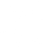 Snow Flakes PNG Free Download 40