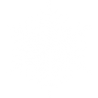 Snow Flakes PNG Free Download 44