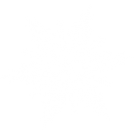 Snow Flakes PNG Free Download 46