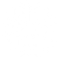 Snow Flakes PNG Free Download 49
