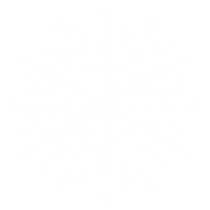 Snow Flakes PNG Free Download 51