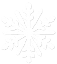 Snow Flakes PNG Free Download 53
