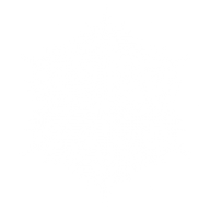 Snow Flakes PNG Free Download 60