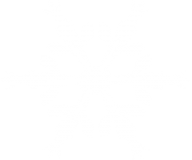 Snow Flakes PNG Free Download 64