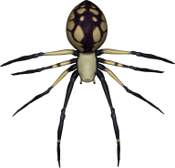 Spider PNG Free Download 35