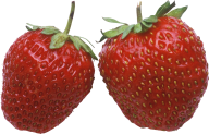Strawberry PNG Free Download 34