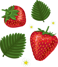 Strawberry PNG Free Download 38