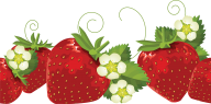 Strawberry PNG Free Download 46