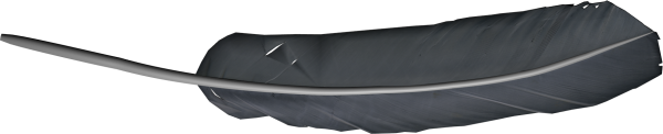 3D Feather Png Image