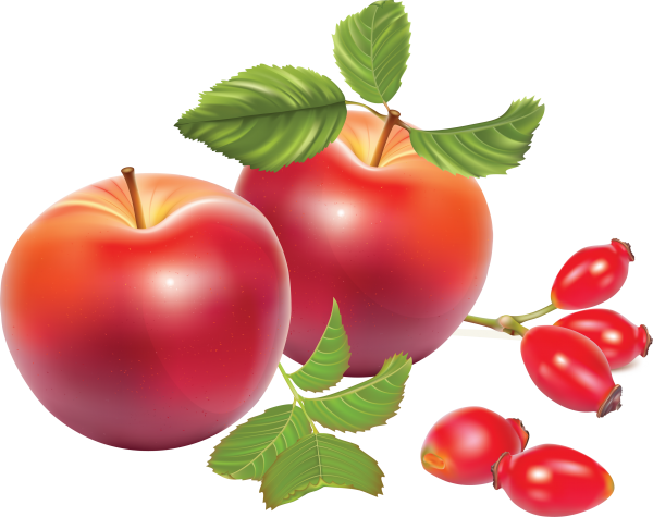 Apple clipart Png