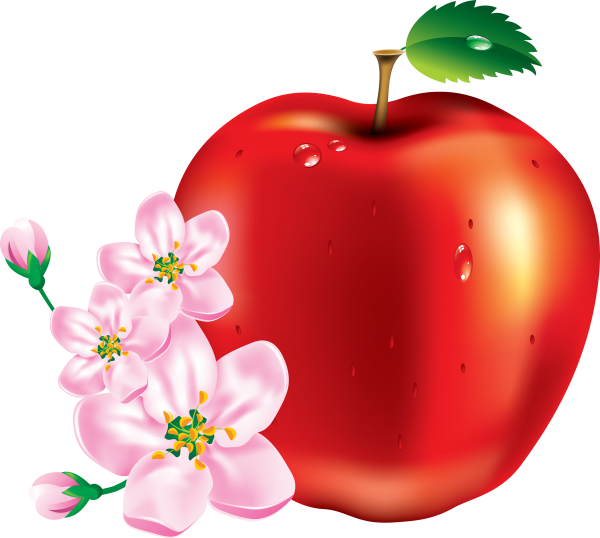 Apple png clipart with flower