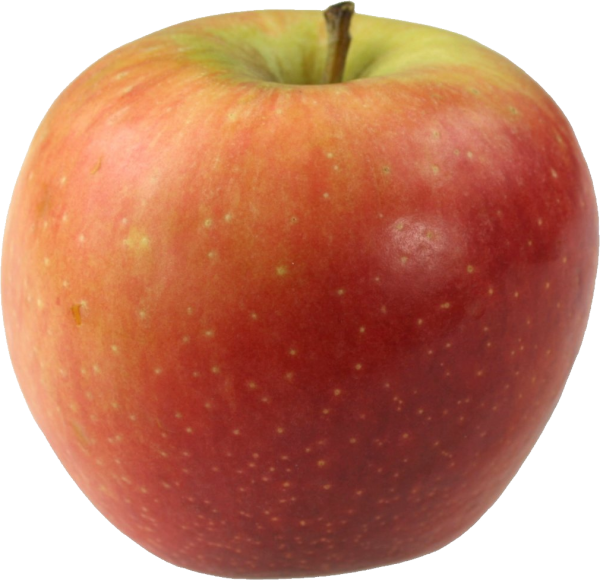 Apple Png free Download