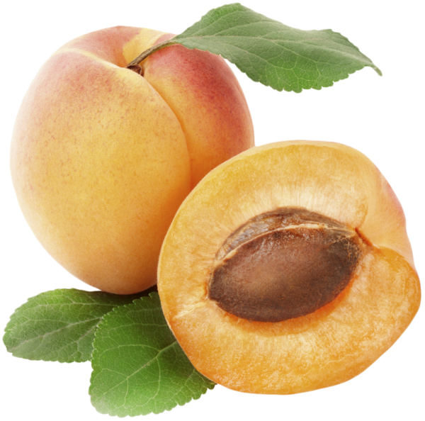 Apricot Fruit Png