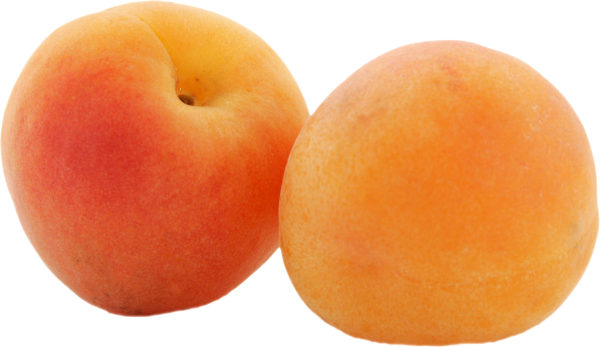 Apricot Png Free Download