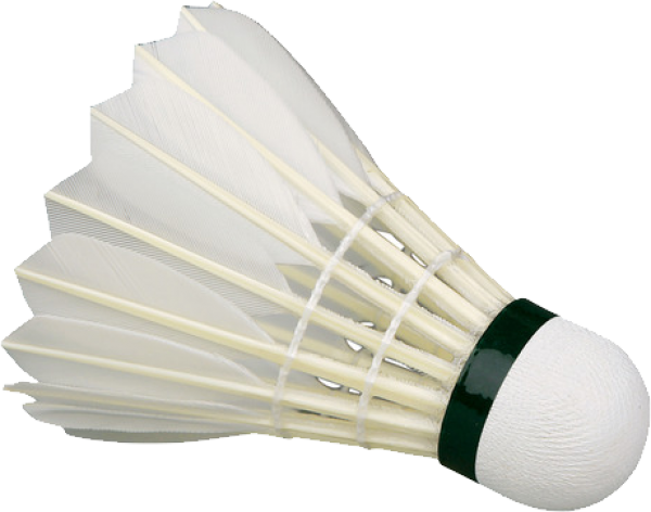 badminton free PNG