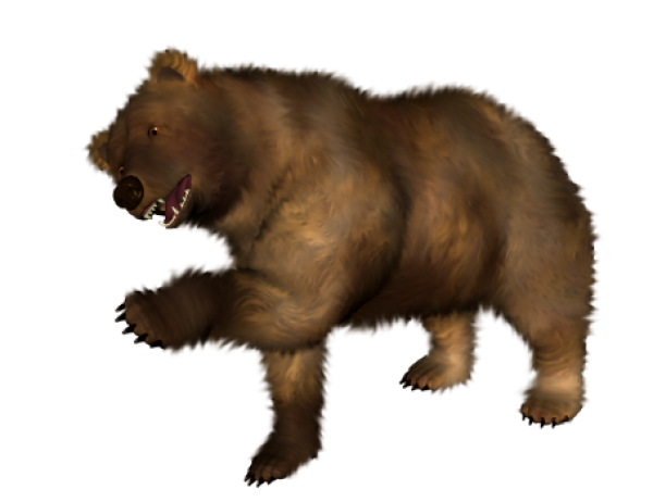 Bear Png Shake your Hands