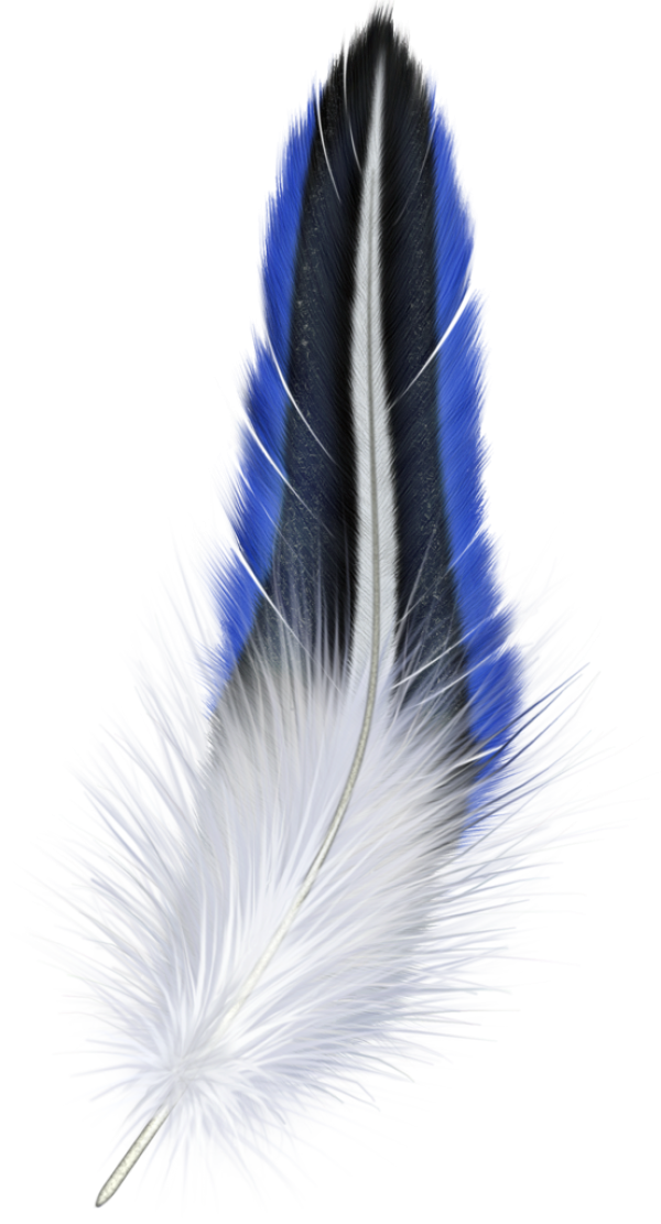 Beautiful Feather Png Download