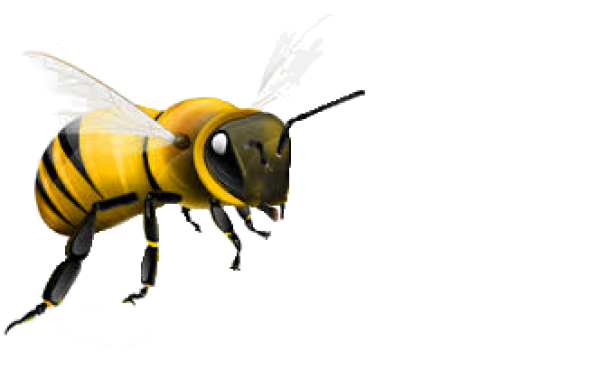 bee png free