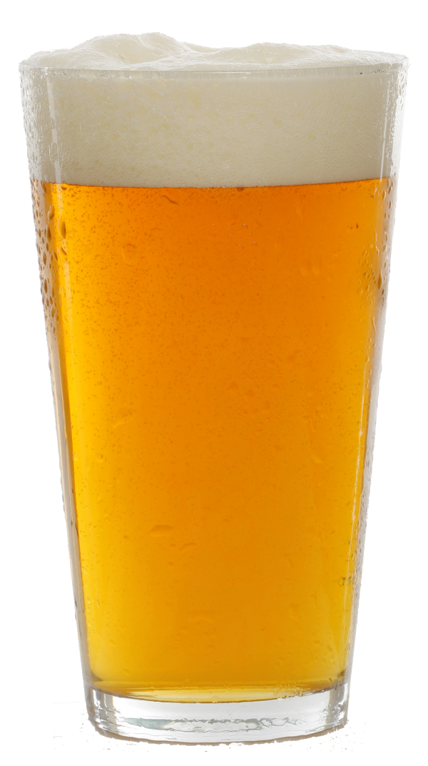 beer filled glass tumbler  free png download