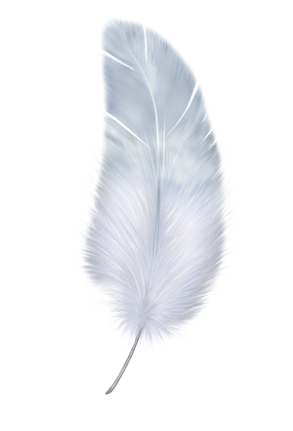 Birdy Feather Png Download
