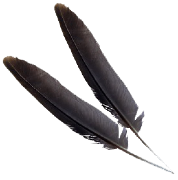 Black Png Feather download