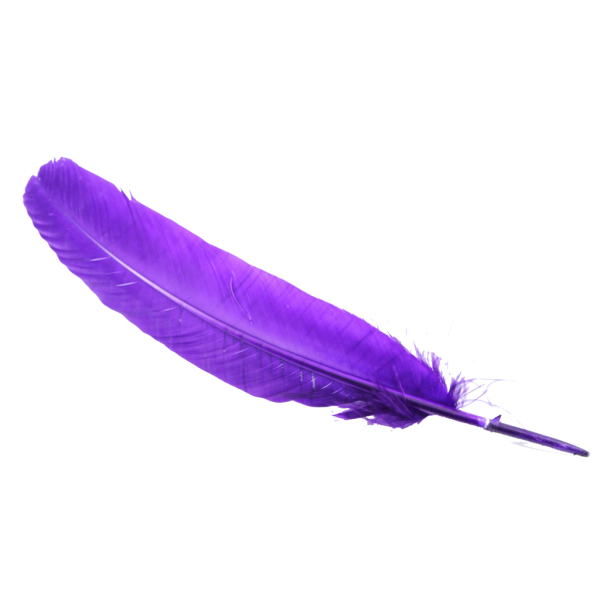 Blue Png image Feather