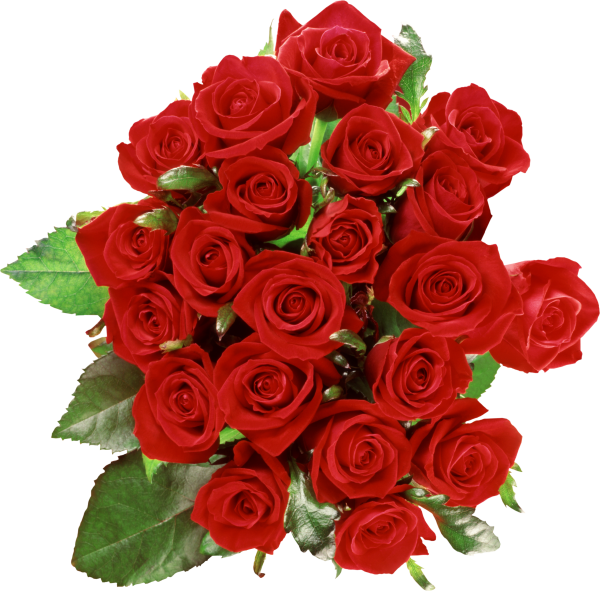 bokkay red rose with leaves free png download