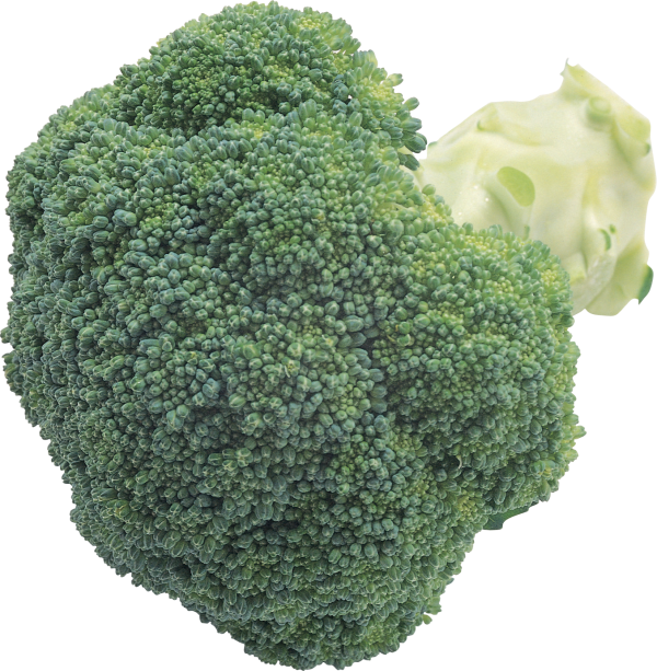 bulge green broccoil free png download