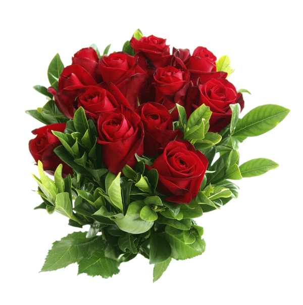 bunch of red rose with leaves free png download (2)