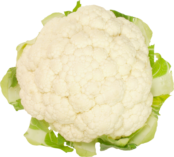 Cabbage PNG free Image Download 12