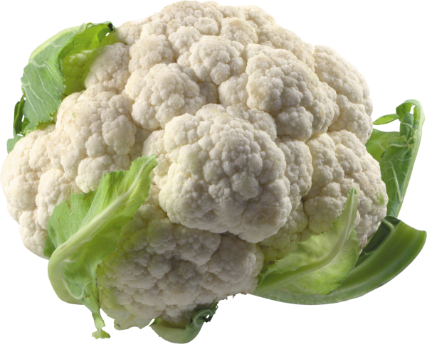 Cabbage PNG free Image Download 15