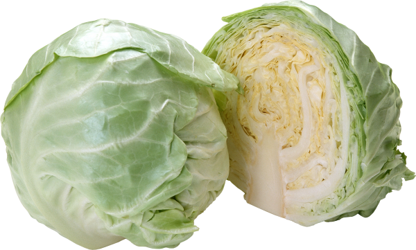 Cabbage PNG free Image Download 19