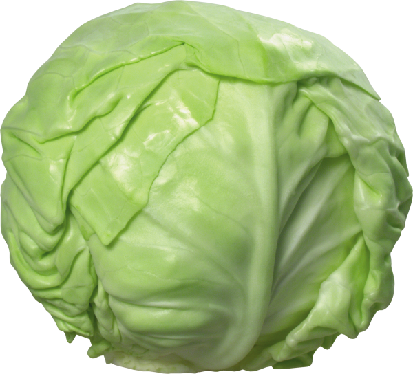 Cabbage PNG free Image Download 2