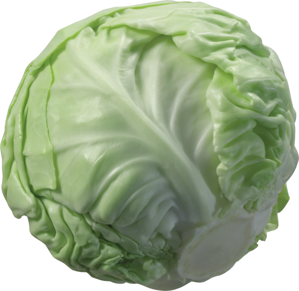 Cabbage PNG free Image Download 20