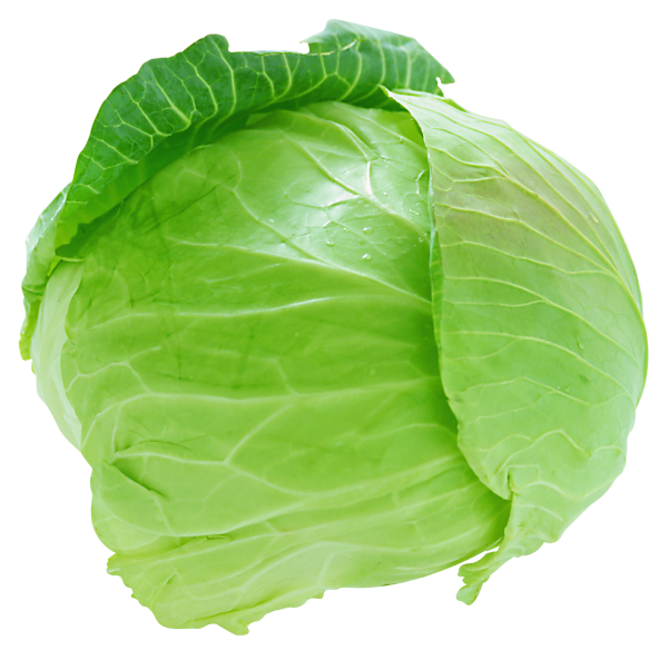 Cabbage PNG free Image Download 25