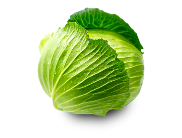 Cabbage PNG free Image Download 27