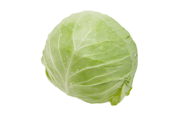 Cabbage PNG free Image Download 34