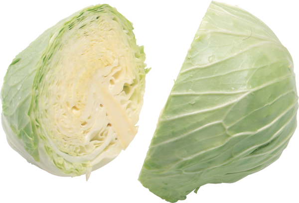 Cabbage PNG free Image Download 36