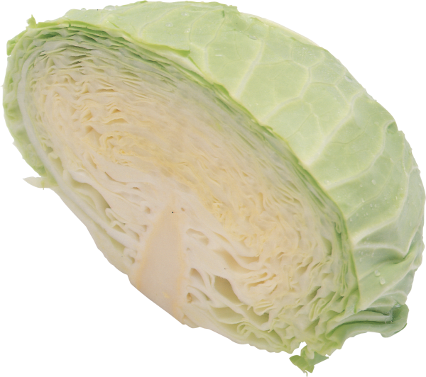 Cabbage PNG free Image Download 38