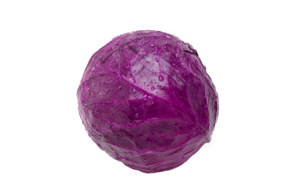 Cabbage PNG free Image Download 42