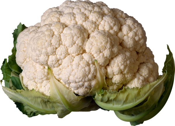 Cabbage PNG free Image Download 45